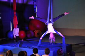 2014-03-29 - Circus Aufführungen - DSC_0245