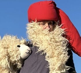 Wenn das Schaf nicht schläft